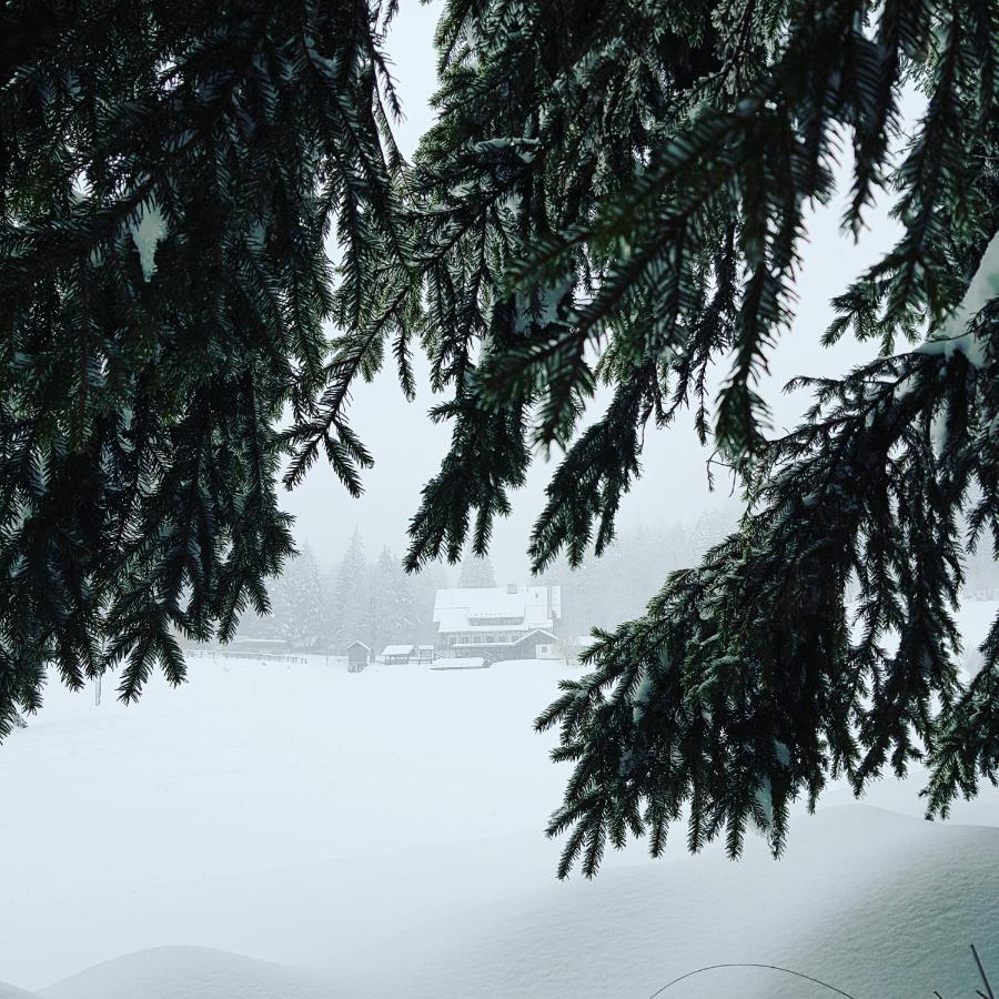 Planinski Dom Na Travni Gori Sodrazica Exteriér fotografie