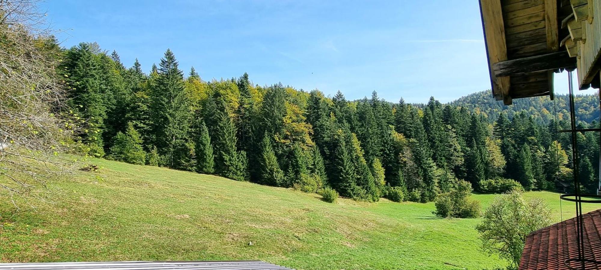 Planinski Dom Na Travni Gori Sodrazica Exteriér fotografie