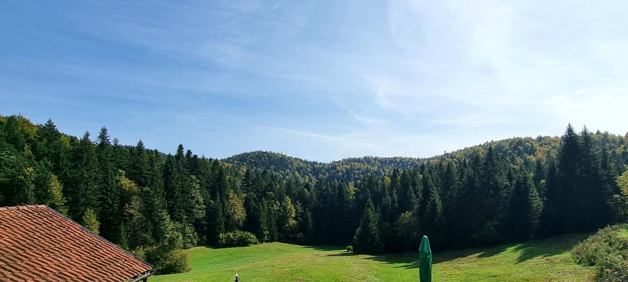 Planinski Dom Na Travni Gori Sodrazica Exteriér fotografie